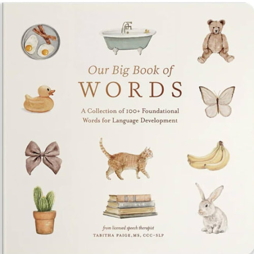 Our Big Book of First Words: A Collection of 100+ Foundational Words for Language Development (Tabitha Paige Children's Book Series)