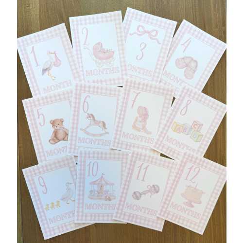 READY TO SHIP Baby Girl Milestone Cards, Pink Gingham Watercolor, Linen Texture Photo Props