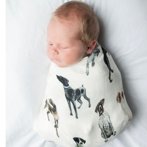 German Shorthaired Pointer - Swaddle