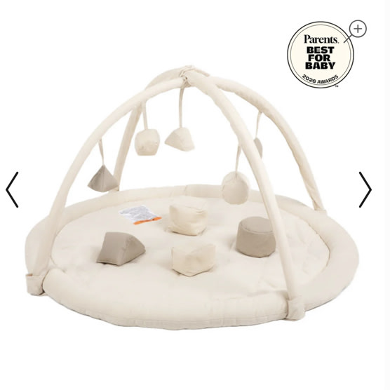 Snuggle Me Play Gym