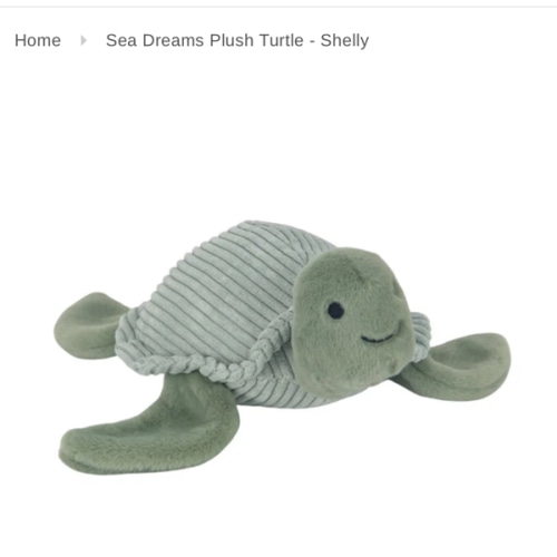 Sea Dreams Green Turtle Plush Stuffed Animal Toy - Shelly – Lambs & Ivy