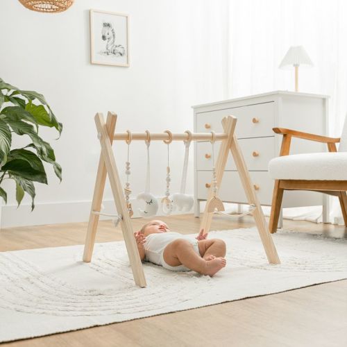 Wooden Baby Play Gym Set, Interactive Activity Center Hanging Bar with Gym Toys By Comfy Cubs