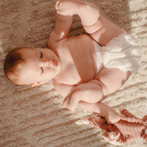 The Diaper – EveryLife