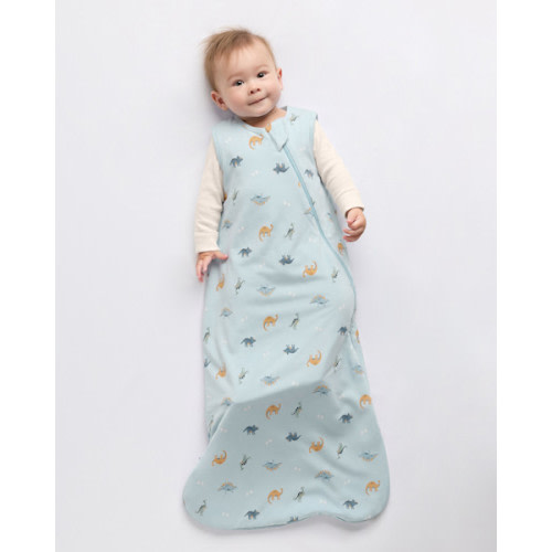 Bamboo Sleep Bag 1.5 TOG in Baby Blue Little Dino