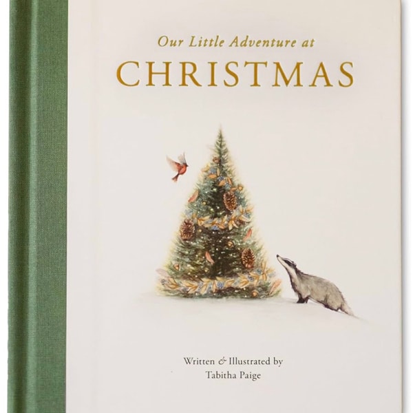Our Little Adventure at Christmas: Featuring Foundational Language Concepts and Lessons on the Joy of Giving (Tabitha Paige Children's Book Series)