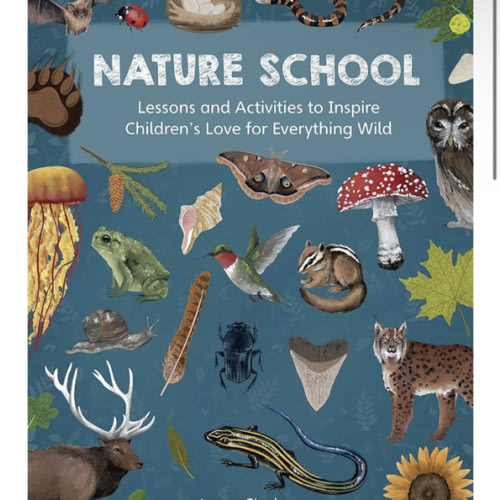 Nature School: Lessons and Activities to Inspire Children's Love for Everything Wild (Nature School, 1): Giordano, Lauren, Hathaway, Stephanie, Stroup, Laura: 9780760378359: Amazon.com: Books