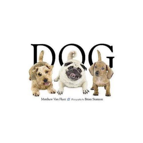 Dog By Fleet Matthew Van (board Book)