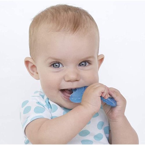 Nuby Silicone Teethe-eez Teether with Bristles, Includes Hygienic Case, Blue - Boy