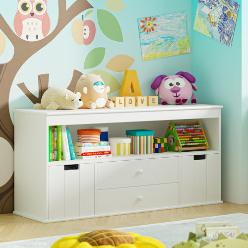 Isabelle & Max™ Anjulie Kids Bookcase Toy Storage Organizer With 2 Drawers And 2 Bins | Wayfair
