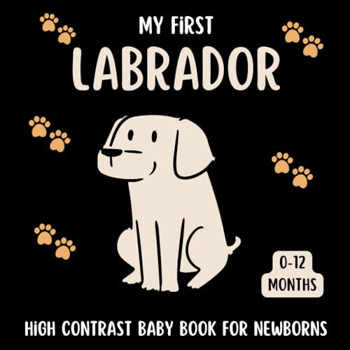 My First Labrador High Contrast Baby Book for Newborns 0-12 Months: Cute Black and White Labrador-Retriever Themed Pictures For Babies From Birth