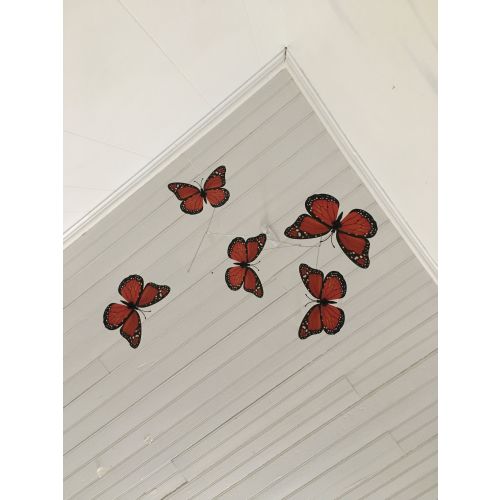Butterfly Mobile