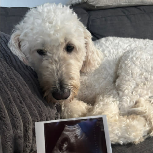 Baby Essentials Fund