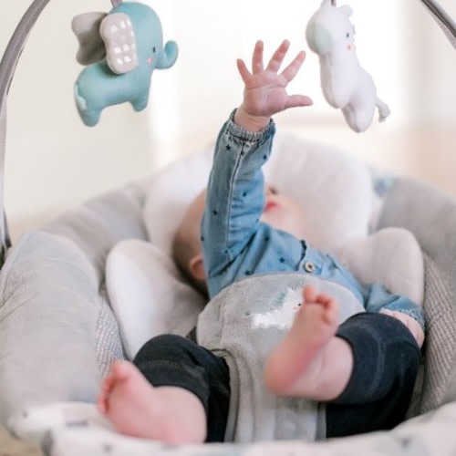 Ingenuity SmartBounce Automatic Bouncer - Chadwick