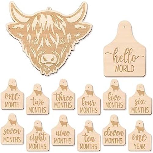 Huray Rayho Highland Cow Baby Monthly Photography Props Cards Rustic Wooden Cattle Tags Newborn Scottish to Record Your Baby´s Growth, Set of 14 Reversible Cards from One Month to One Year