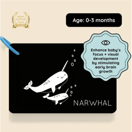 High Contrast Cards for Infants - Curious Baby™ Cards – Curious Baby Cards