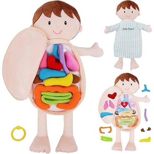 June Garden Little Patient Lucas Plush Anatomy Doll - Soft Educational Toy with Removable Human Organs - Learn Basic Anatomy for Toddlers and Kids