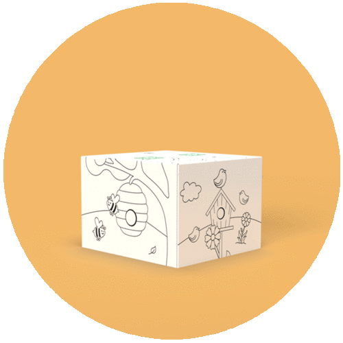 Diaper and Training Pants Bundle | Hello Bello | Hello Bello