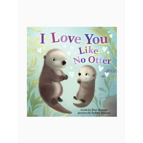 I Love You Like No Other Story Book