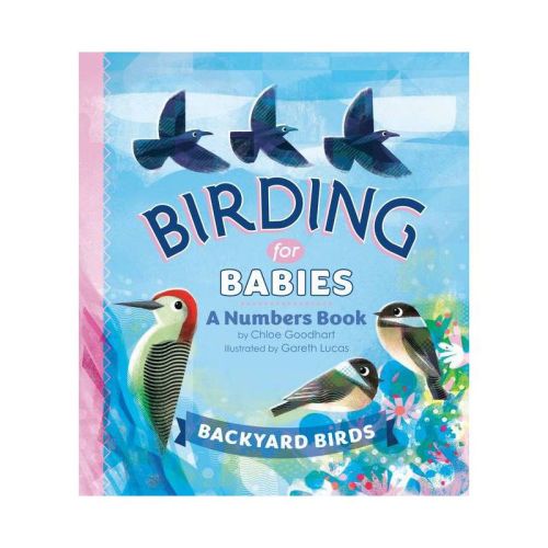 Birding for Babies: Backyard Birds - by Chloe Goodhart (Board Book)