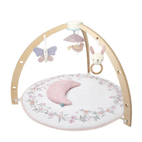Baby Activity Gym