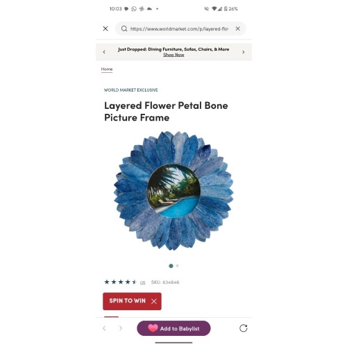 Layered Flower Petal Bone Picture Frame - World Market Navy