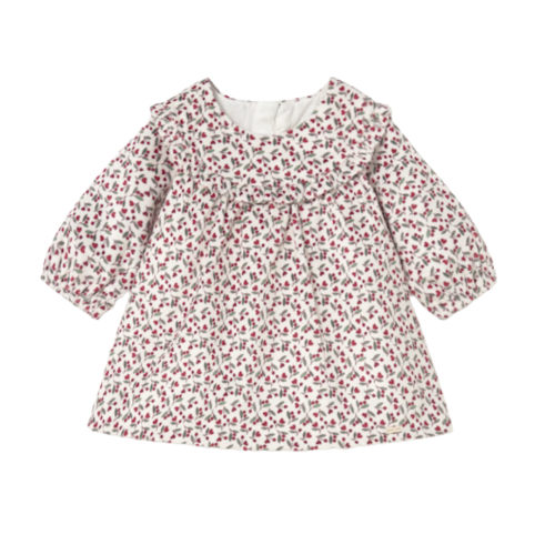 Printed Velvet Dress