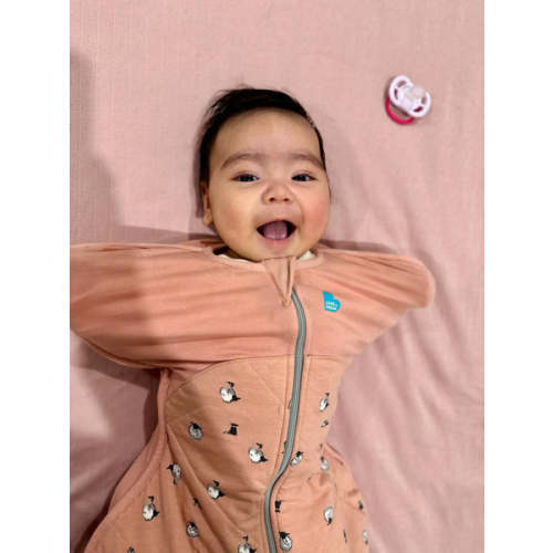 Swaddle Up Original Dusty Blue – Love to Dream US