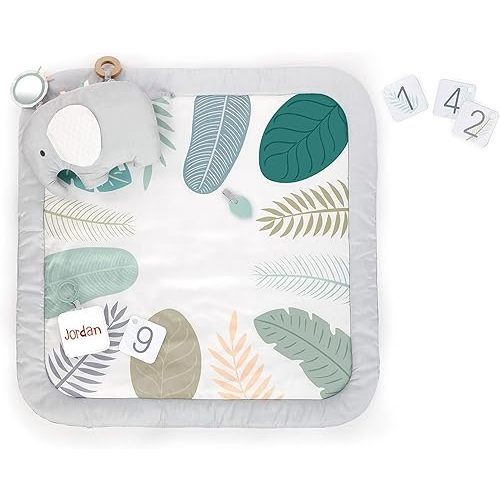 Ingenuity Sprout Spot Baby Milestone Tummy Time Activity Mat and Play Gym Unisex Ages 0+ Months 40 x 40 Inches