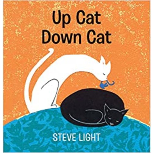 Up Cat Down Cat by Steve Light