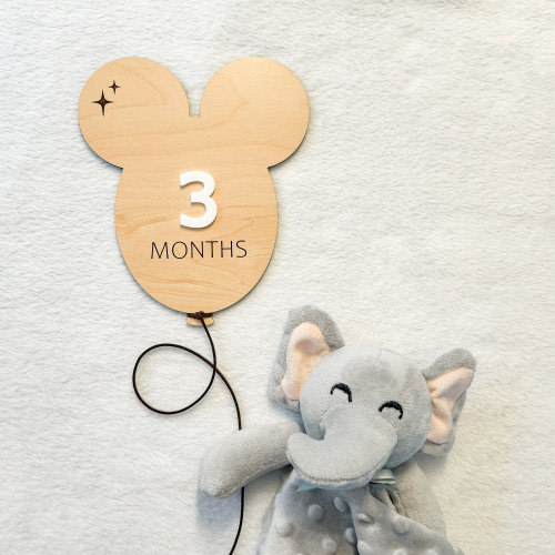 Disney Balloon Monthly Milestone Sign // Engraved Milestones // Newborn Baby Photos // Newborn Milestones Photo Prop // Disney nursery sign