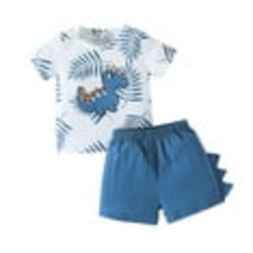 Newborn Boy Outfits Kids Baby Boys Summer Dinosaur Pattern Round Neck Short Sleeved T Shirt and Shorts Two Piece Set Baby Outfits Blue 6 Months-9 Months