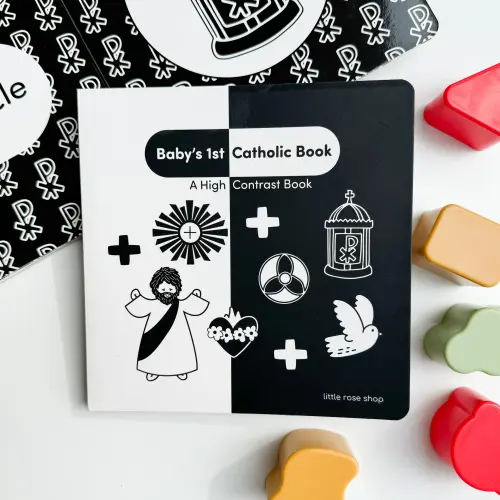 A High Contrast Board Book