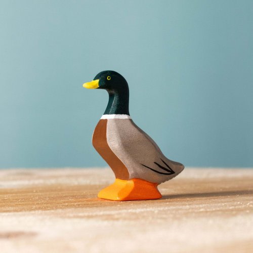 Mallard Duck