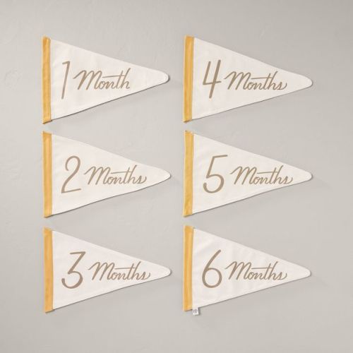Newborn Milestone Pennants 6pc - Hearth & Hand™ With Magnolia