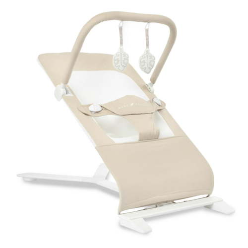 Baby Delight Alpine Deluxe Portable Bouncer, Adjustable Seat for Newborns 0-6 Months, Organic Oat