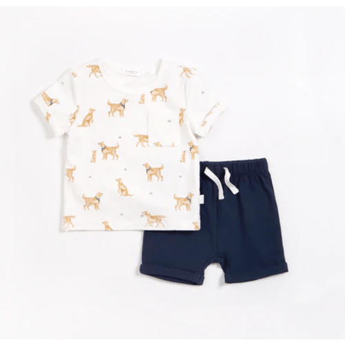 Golden Retriever Outfit Set