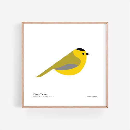 Wilson's Warbler Art Print | Modern Minimalist Bird Illustration | Giclée Print | Spiggle Studio