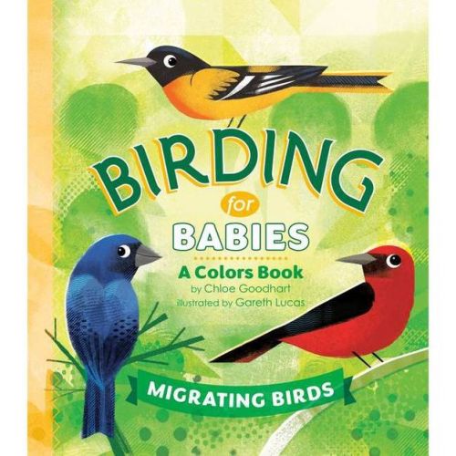 Birding for Babies: Migrating Birds - by Chloe Goodhart (Board Book)