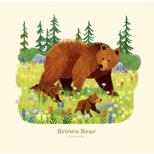 Brown Bear National Park Alphabet Print – Fifty-Nine Parks
