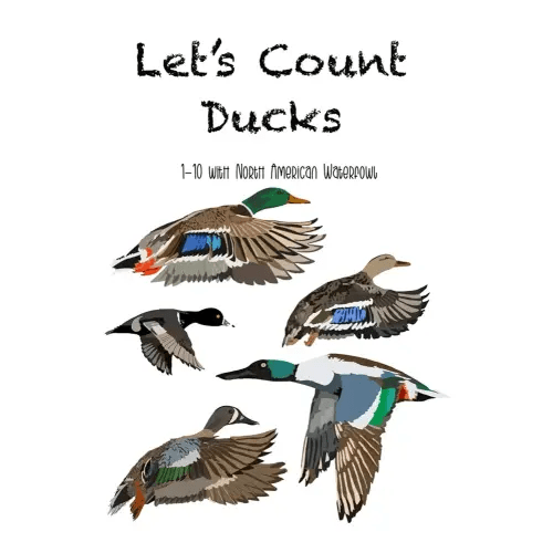 Let’s Count Ducks: 1-10 with North American Waterfowl