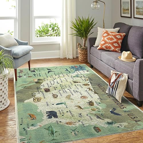 National Parks of The USA Rectangle Rug, Rug for Nursery, Washable Rug, Living Room Rug, Rugs for Bedroom, Home Decor (6 * 8ft)