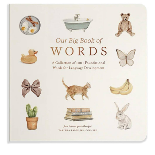 Our Big Book of First Words: A Collection of 100+ Foundational Words for Language Development (Our Little Adventures Series)