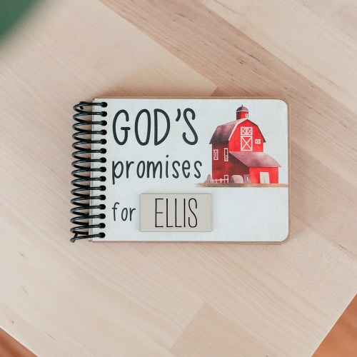 Personalized God&#39;s Promise Book - Exquisite Christian Baby Gift - Handmade Baby Bible for Boy or Girl by inawehandmade - Religious Baby Gift