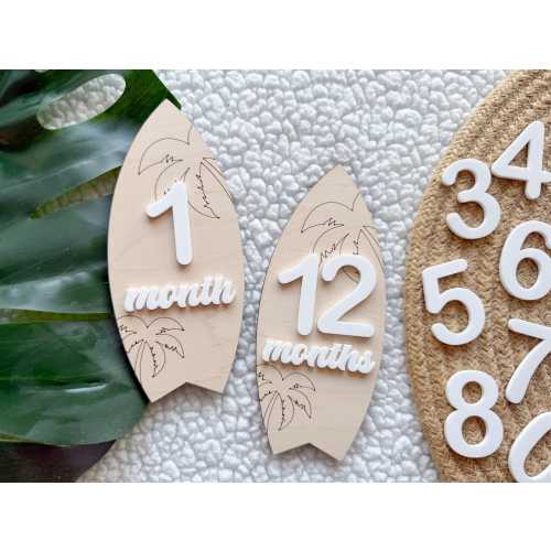 Baby Monthly Surfboard Milestone Marker, Interchangeable Month Baby Beach Milestone cards, Monthly Wooden Milestone Discs, Baby Photo Signs