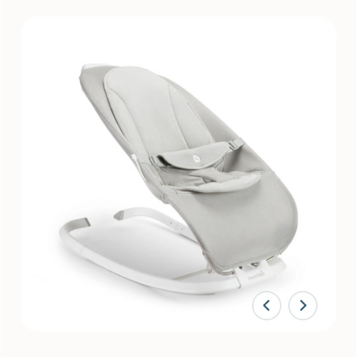 Electric Bouncer & Rocker