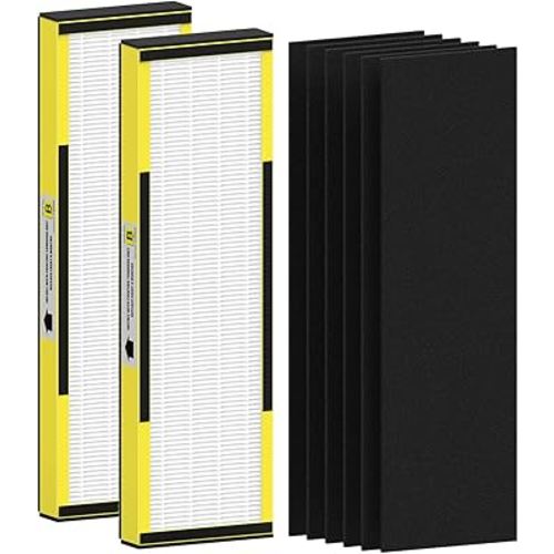 2 Packs FLT4825 HEPA Replacement Filter B Compatible with AC4825 AC4825E AC4300 AC4800 AC4900 AC4850, 2 True HEPA Filters & 6 Activated Carbon Pre-Filters
