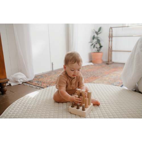 Montessori 9-Peg Puzzle