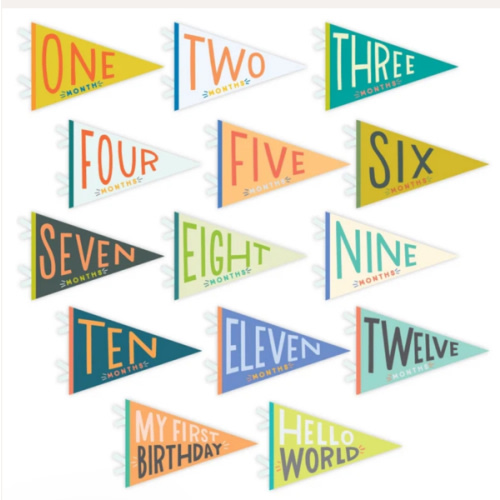 Little Kaleidoscope Petit Milestone Pennants – Lucy Darling