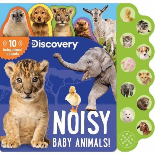 Discovery: Noisy Baby Animals! - (10-button Sound Books) By Thea Feldman (board Book)
