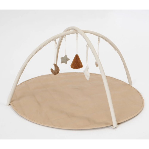 Baby Play Gym Bars & Toys